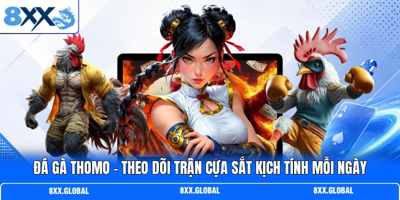 Đá Gà Thomo